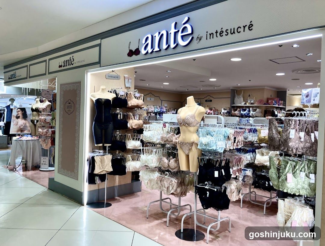 anté by intesucre