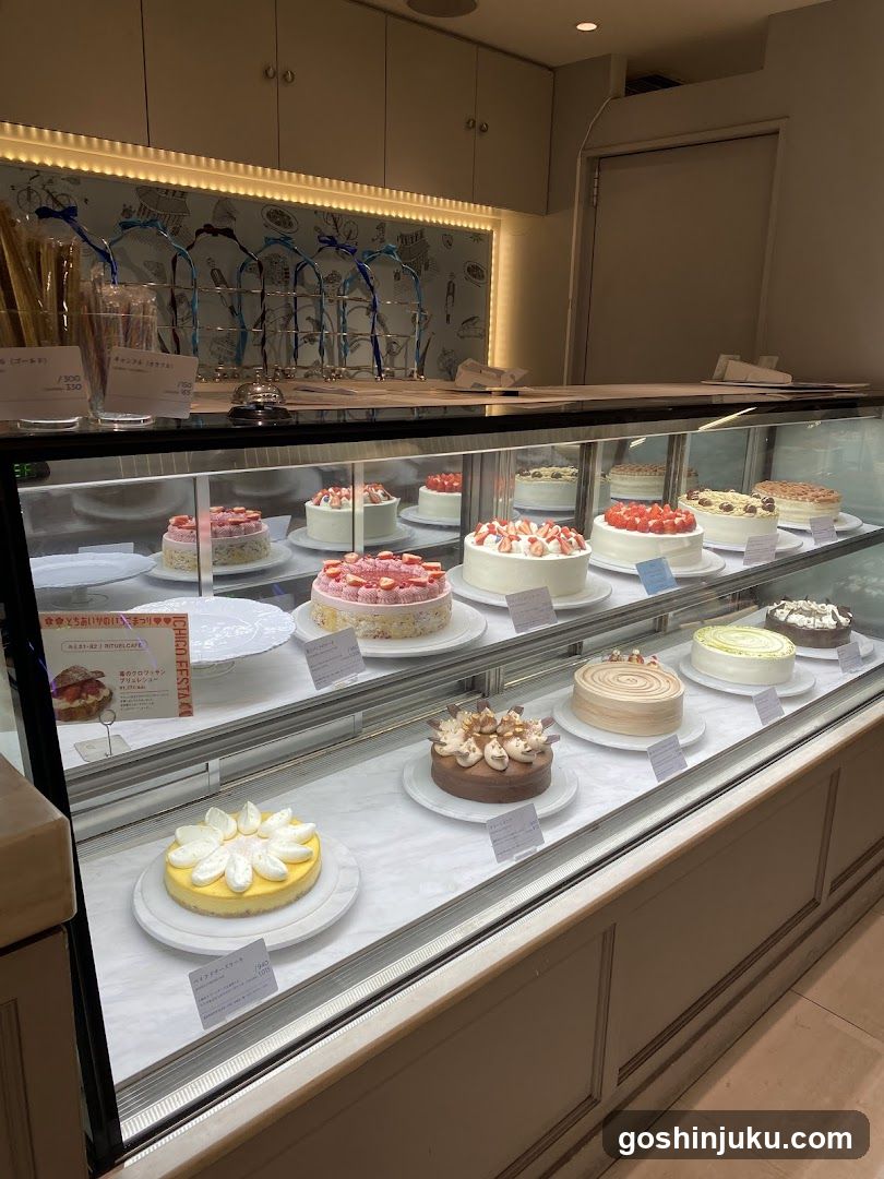Cake Display Case