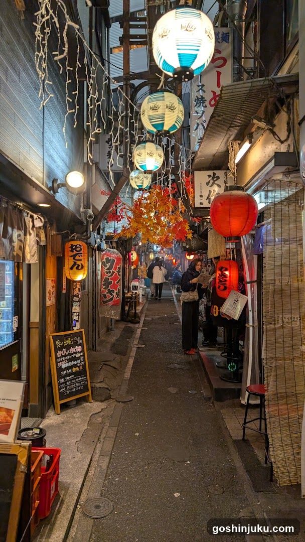 Nagatacho Alleyway at Night