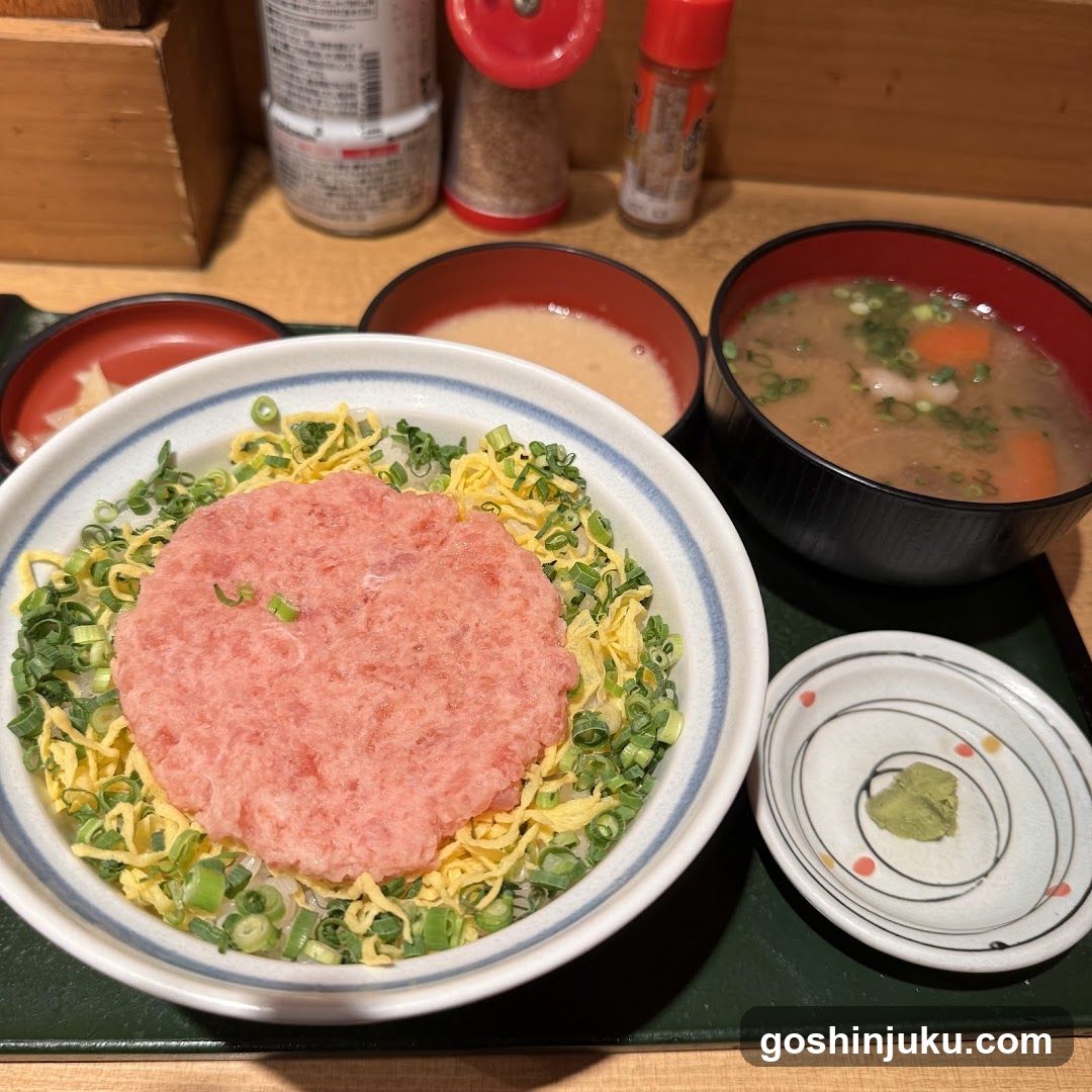 Japanese Meal with Meatball and Soup