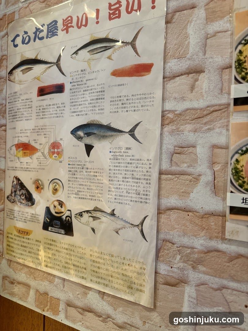 Fish Information Poster