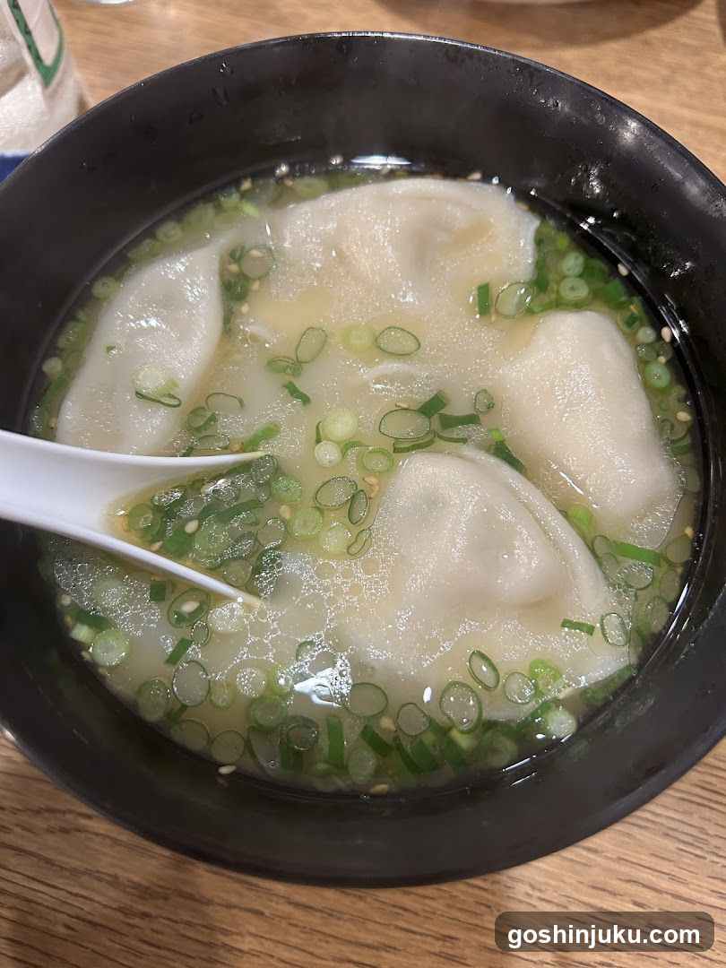 Dumpling Soup Bowl