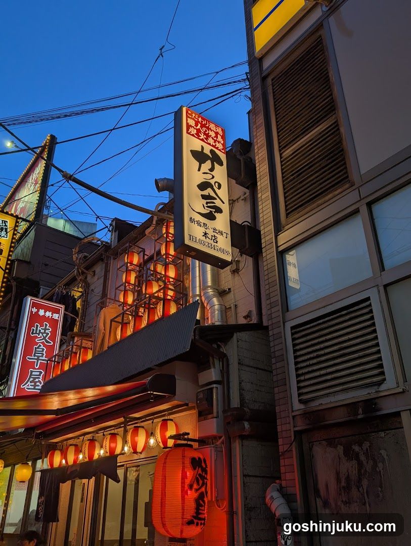 A street view at dusk featuring multiple illuminated signs on building facades. Prominent vertical signage includes 'かっつ' (Katsu) and '岐阜屋' (Gifu-ya), both lit in red neon or LED. A large lantern hangs below, glowing warmly against the darkening blue sky. Overhead wires crisscross above. The scene suggests a bustling urban area, likely in Japan given the script style.