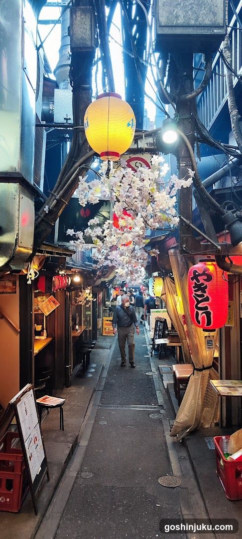Narrow Alleyway with Lanterns and Cherry Blossoms