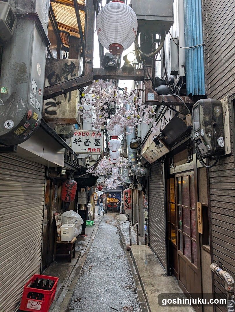 Narrow Alleyway with Cherry Blossoms and Shop Signs