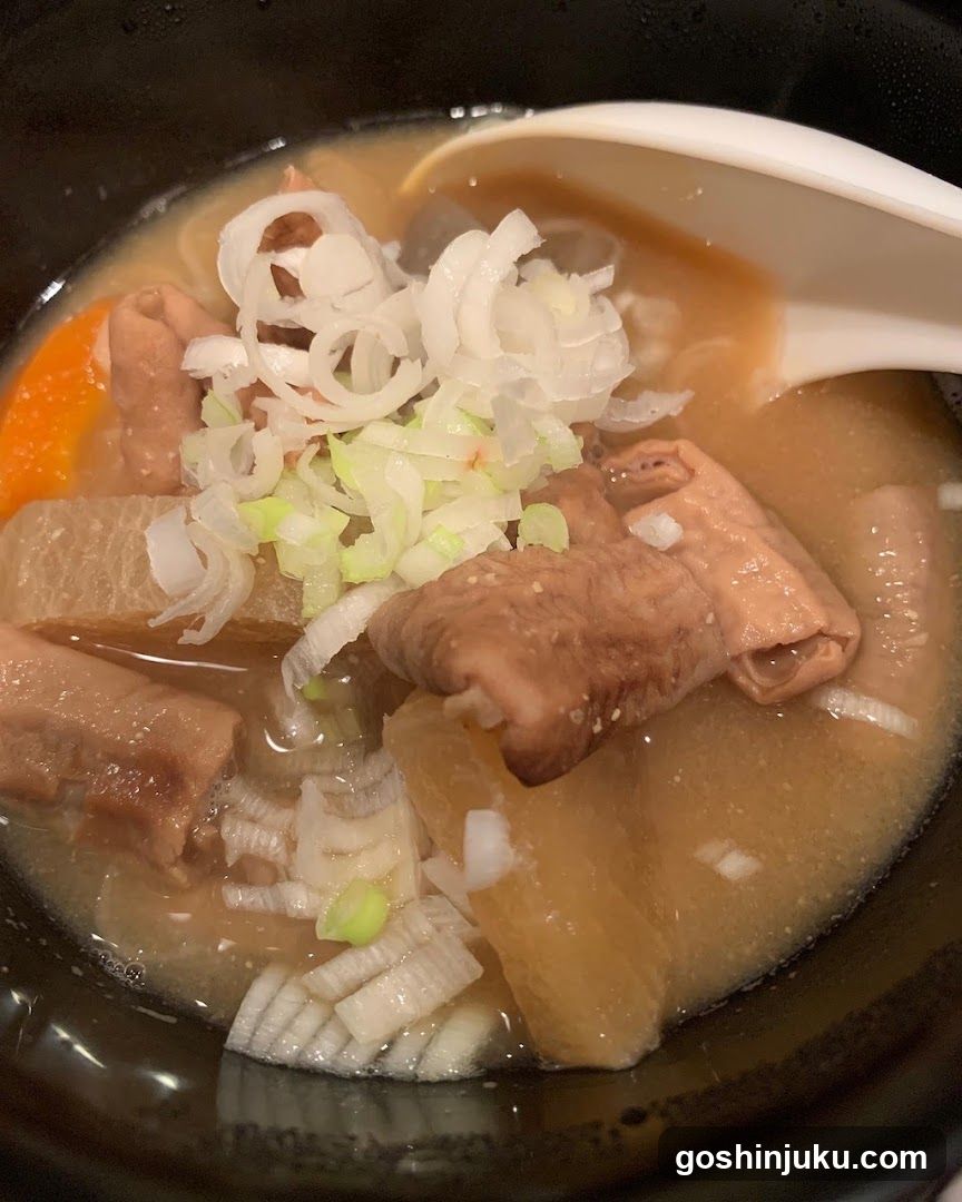 Soup Bowl with Meat and Onions