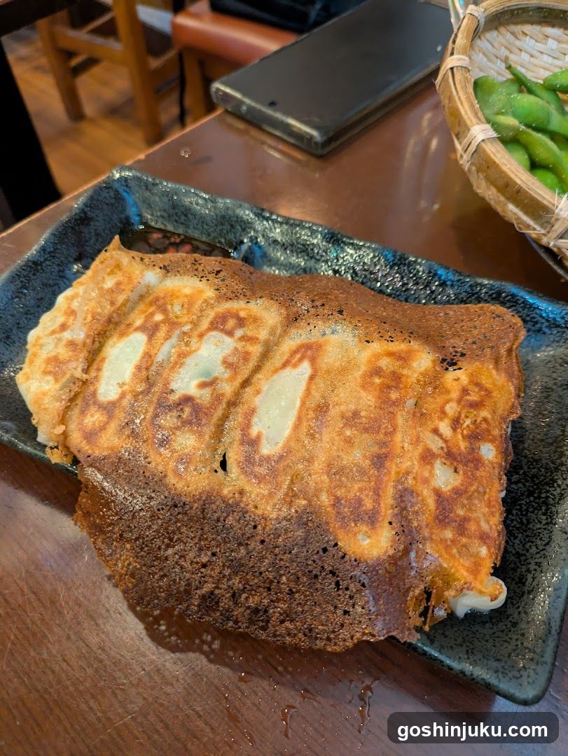 Gyoza on a dark plate with edamame in background