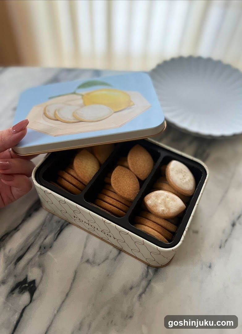 Gingerbread Cookie Tin