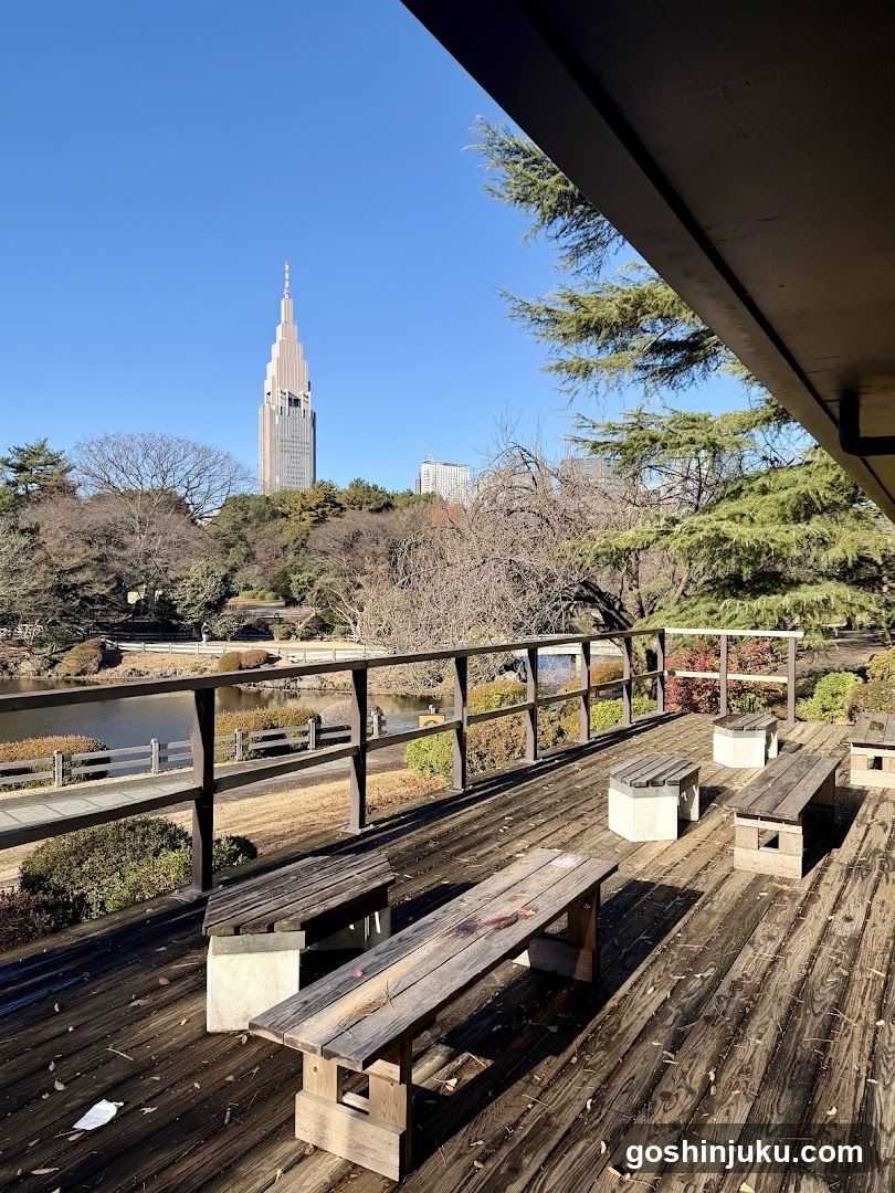View from wooden deck overlooking park and skyscraper