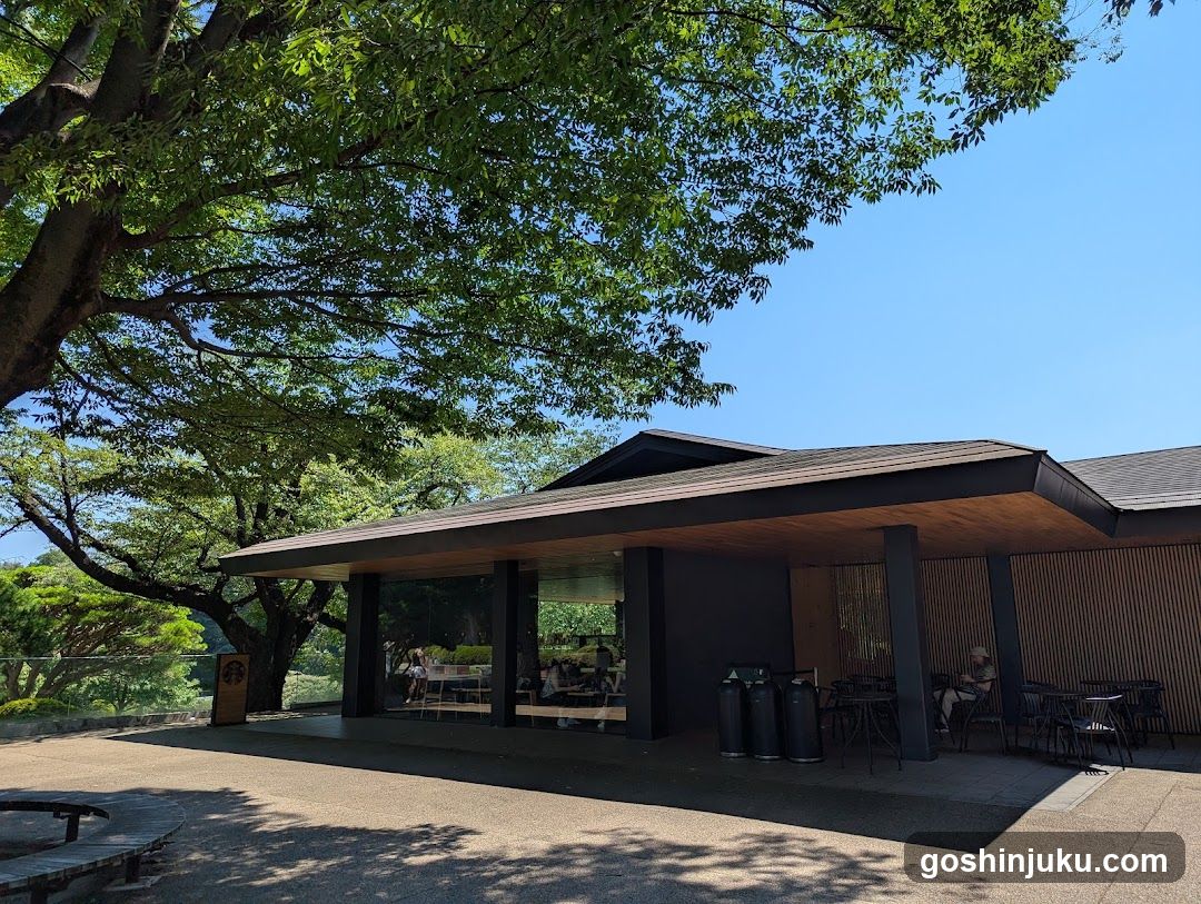 Outdoor seating area under tree canopy