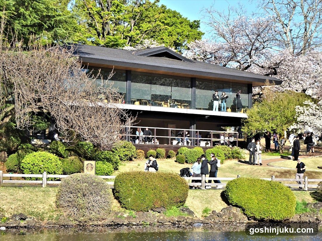Cherry Blossom View at Japanese Garden Cafe