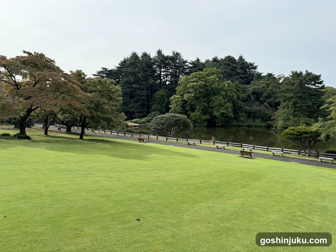 Park Scene with Lake and Trees