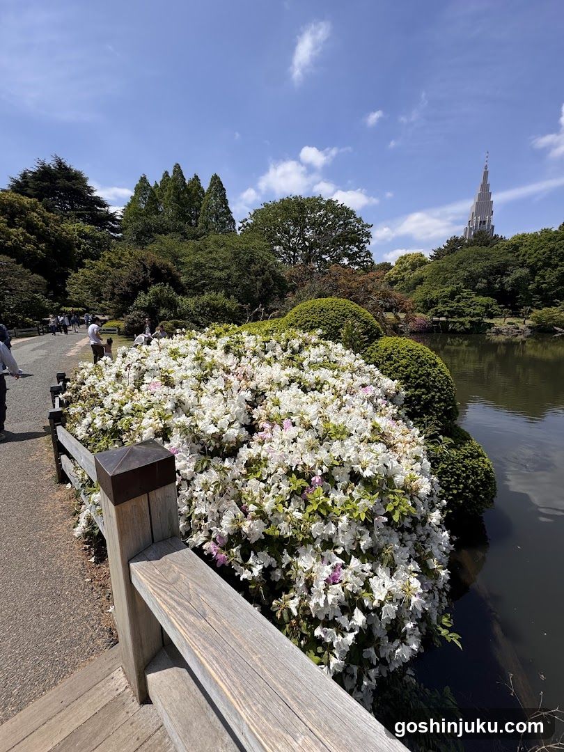 Flower Garden with Water Feature