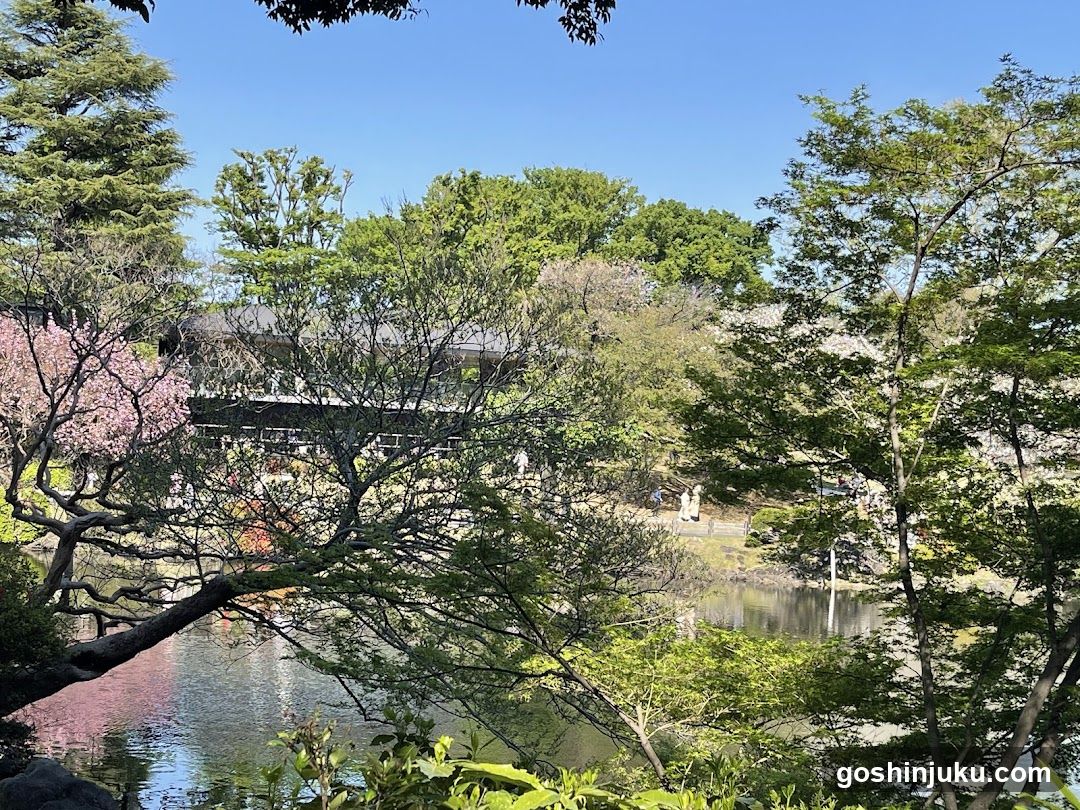 Garden Scene with Cherry Blossoms and Water