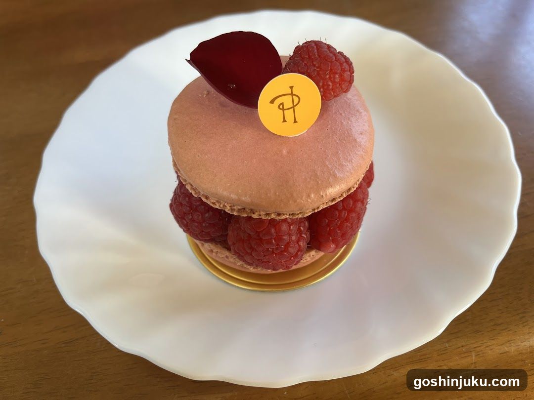 Raspberry Macaron Dessert