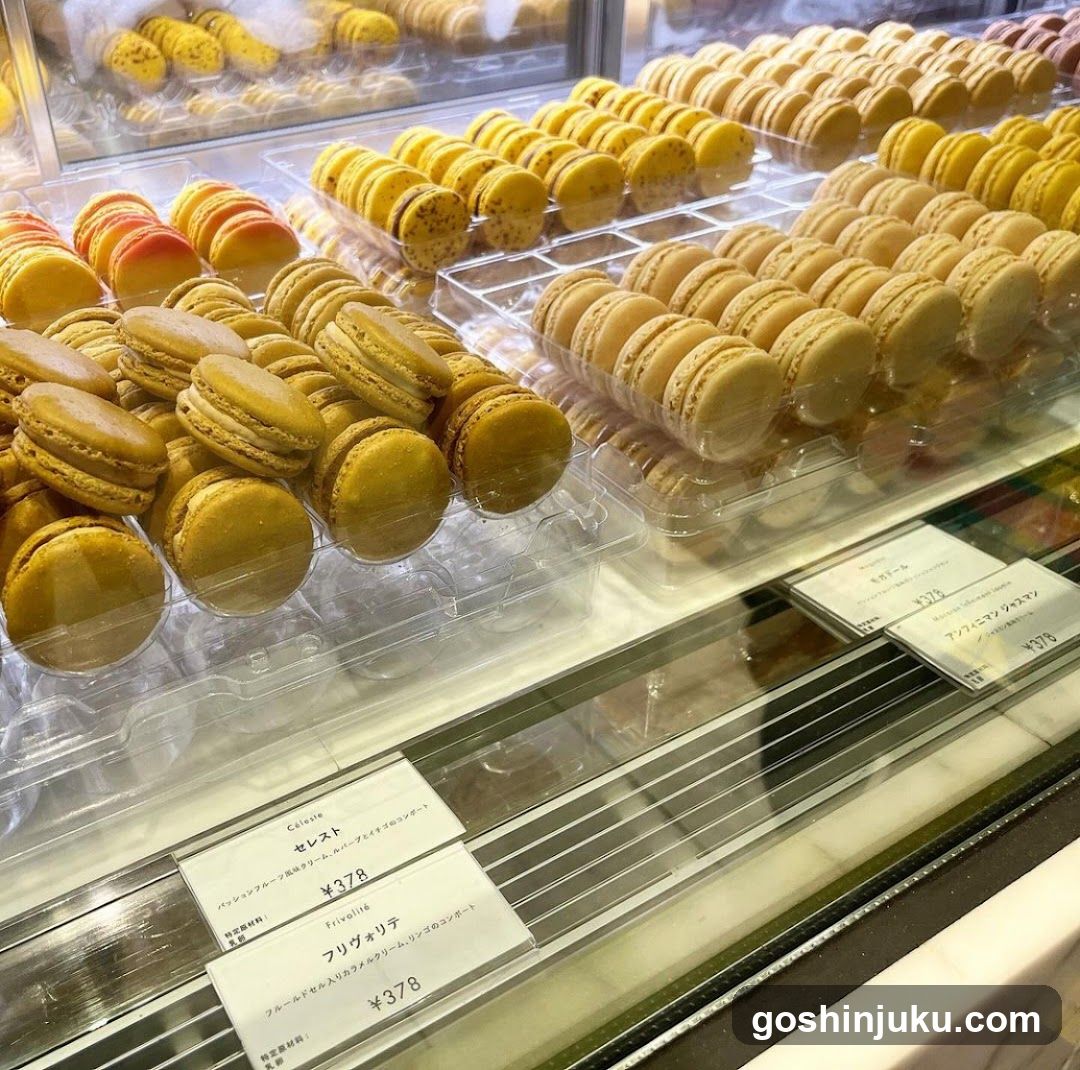 Macaron Display Case