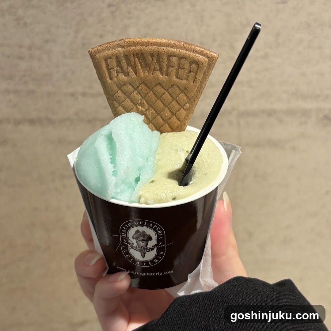 Premium Mario Gelateria