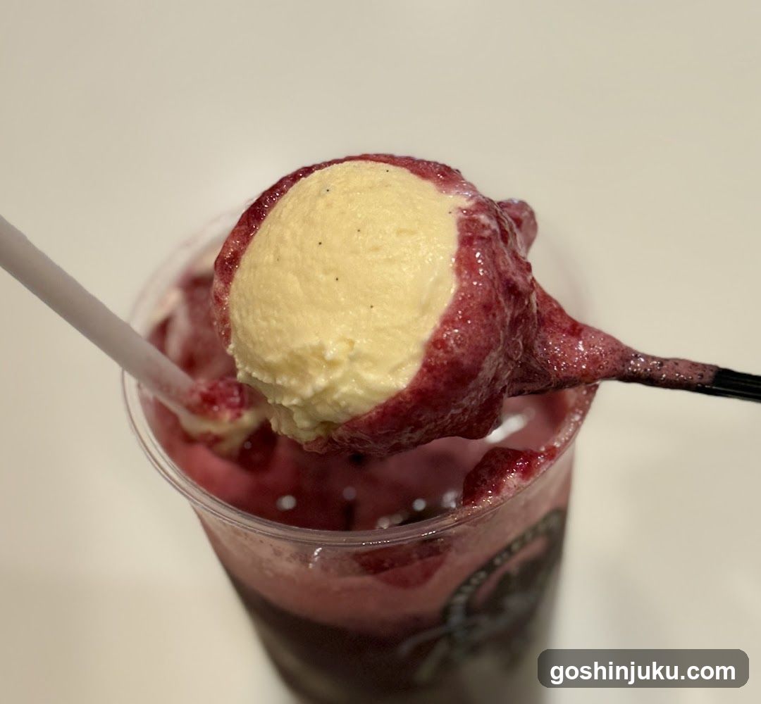 Berry Ice Cream with Sauce