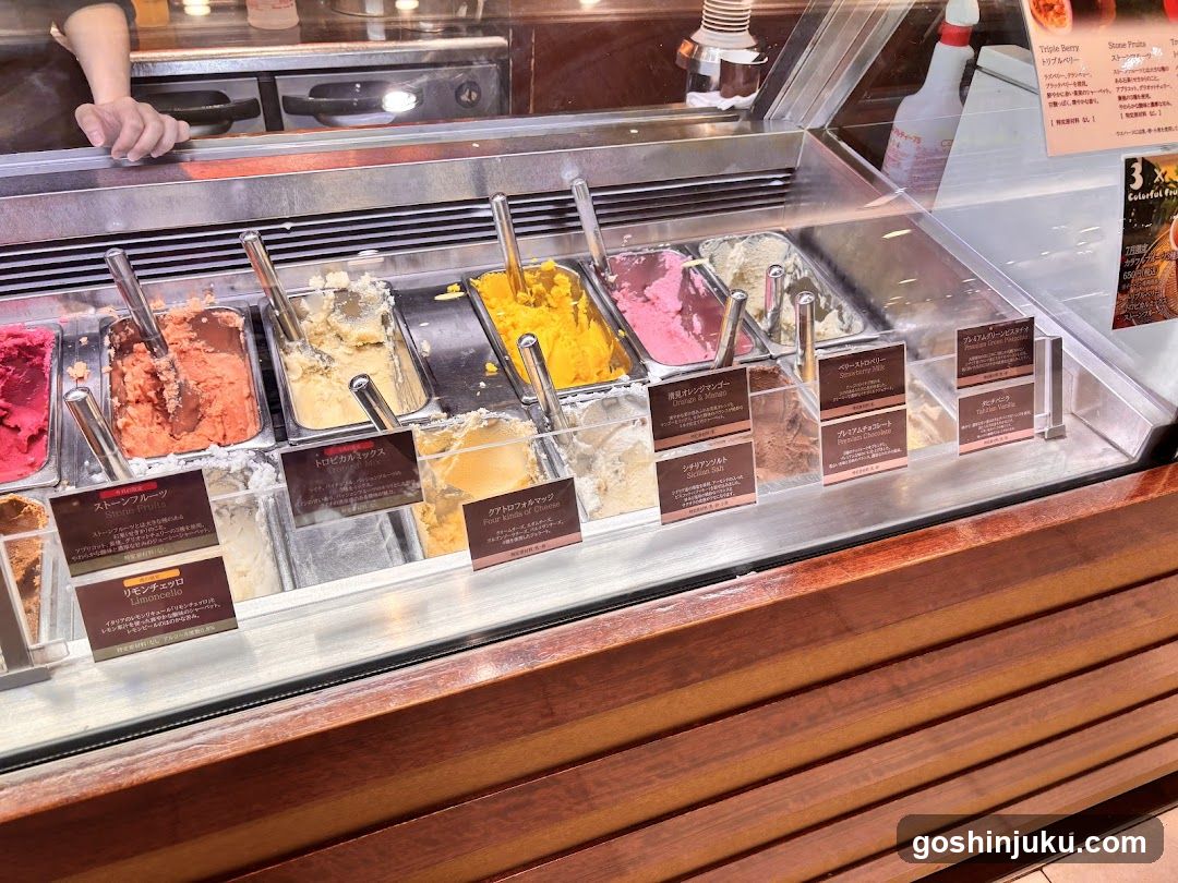 Gelato Display Case