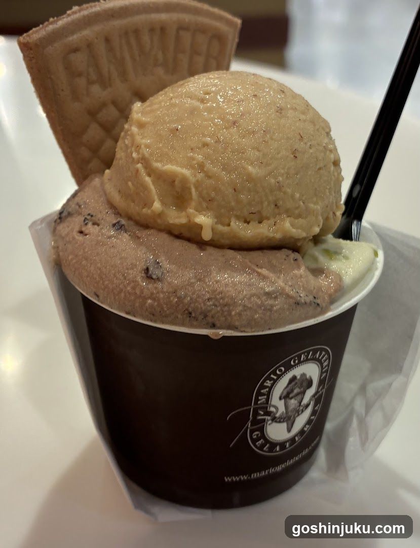 Gelato Cup with Waffle Cookie