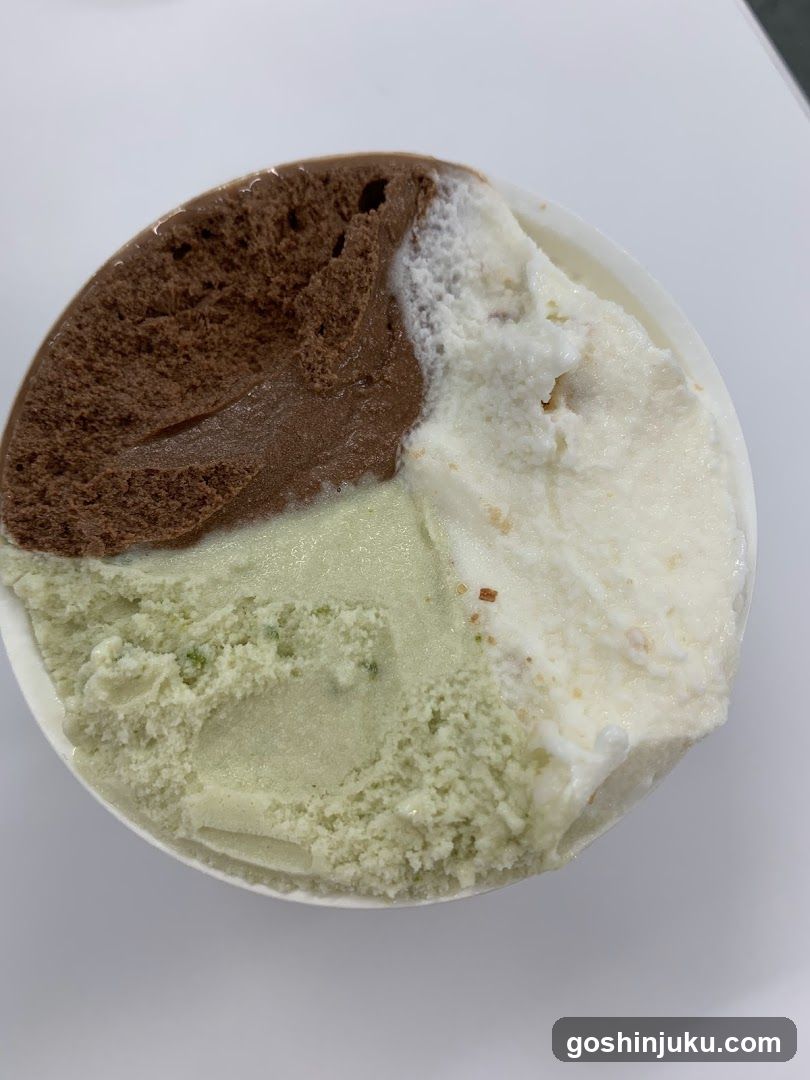 Three-Flavor Ice Cream Bowl