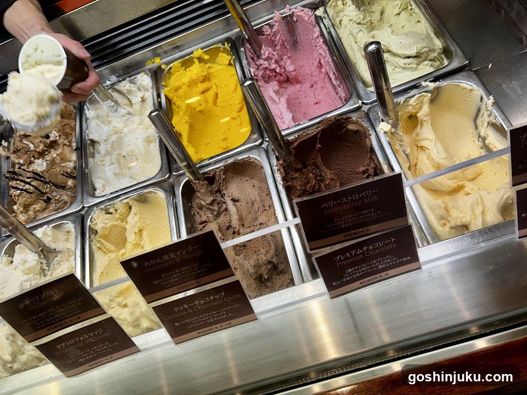 Gelato Display Case