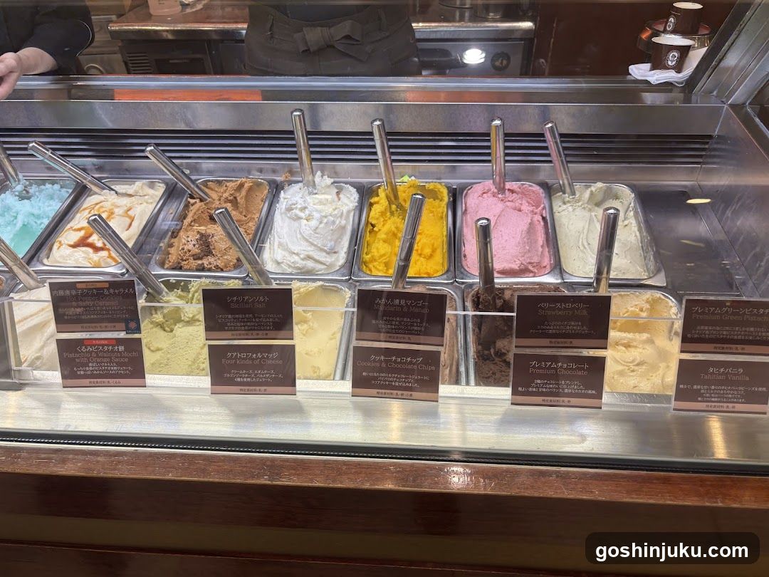Gelato Display Case