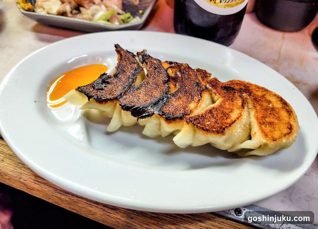 Gyoza with Sauce