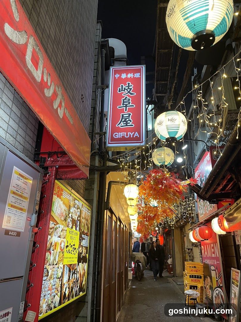 Nagatacho Alleyway Night Scene