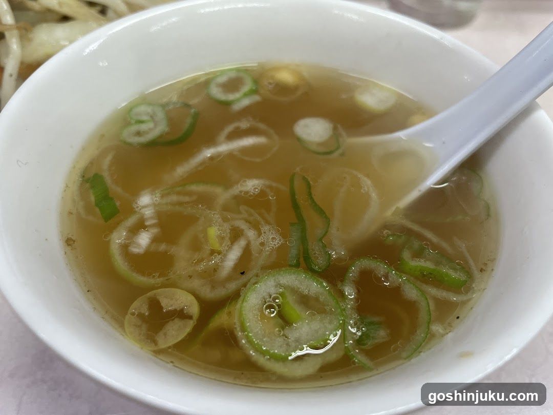 Bowl of Soup with Green Onions