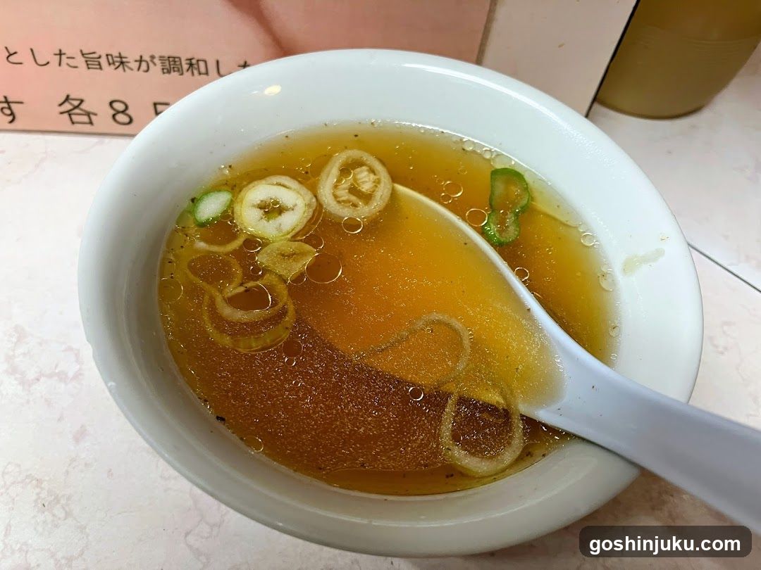 Bowl of Soup with Scallions