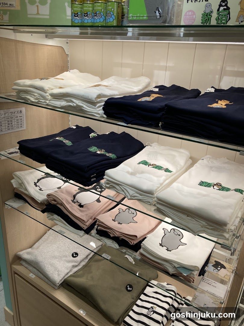 Merchandise Display Shelf