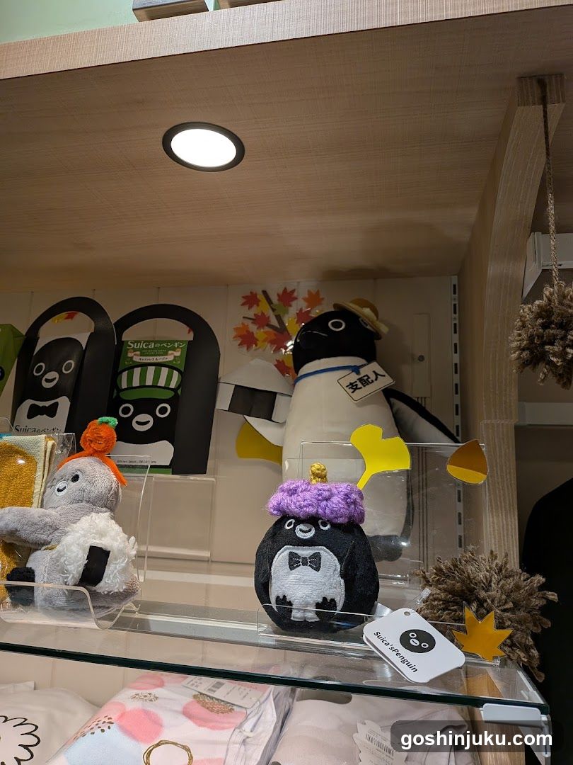 Sulde Shop Interior Display