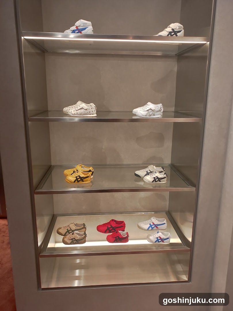 Shoe Display Shelf