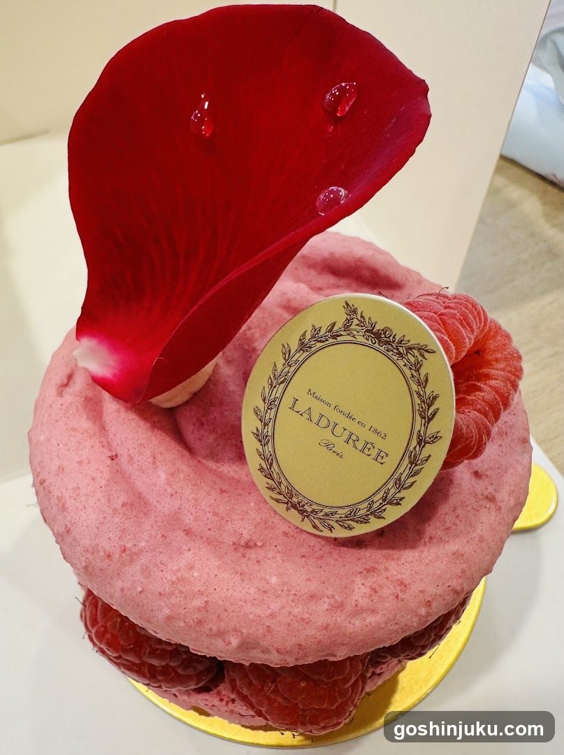 Ladurée Dessert Cake