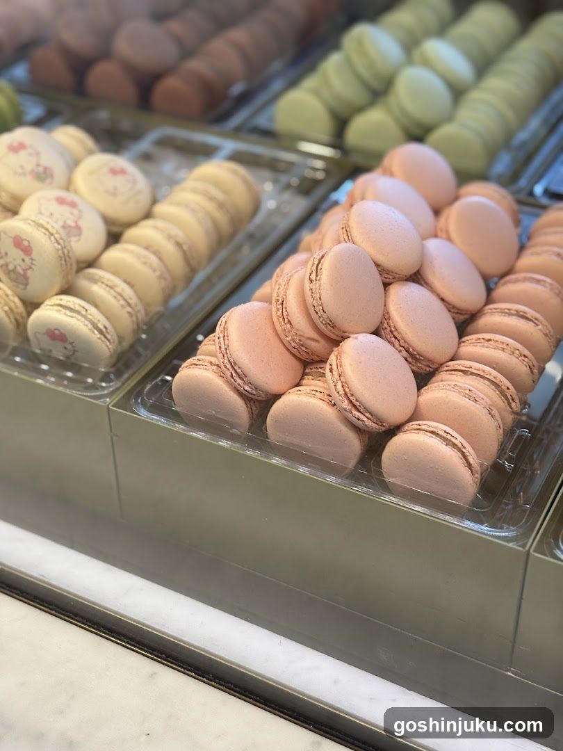 Macaron Display Case