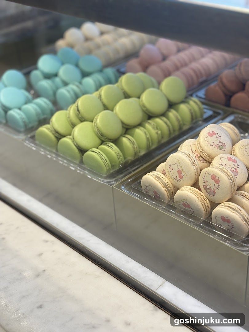 Macaron Display Case