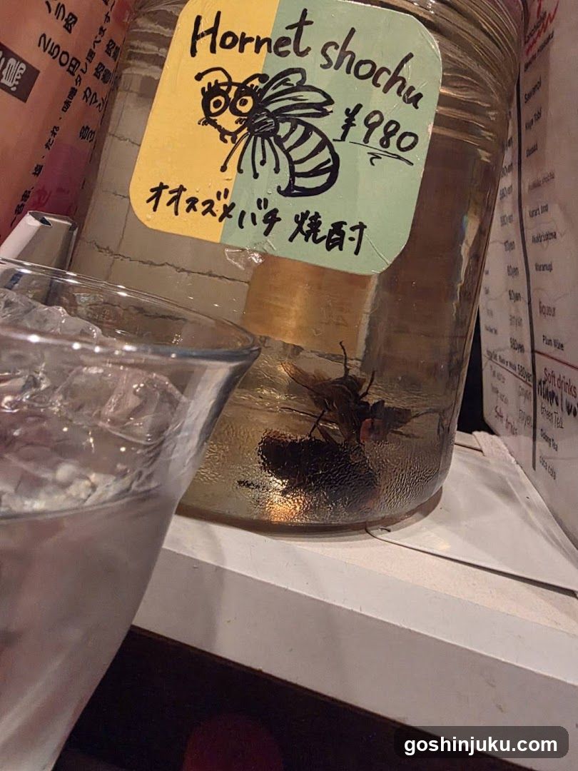 Hornet Shochu Display
