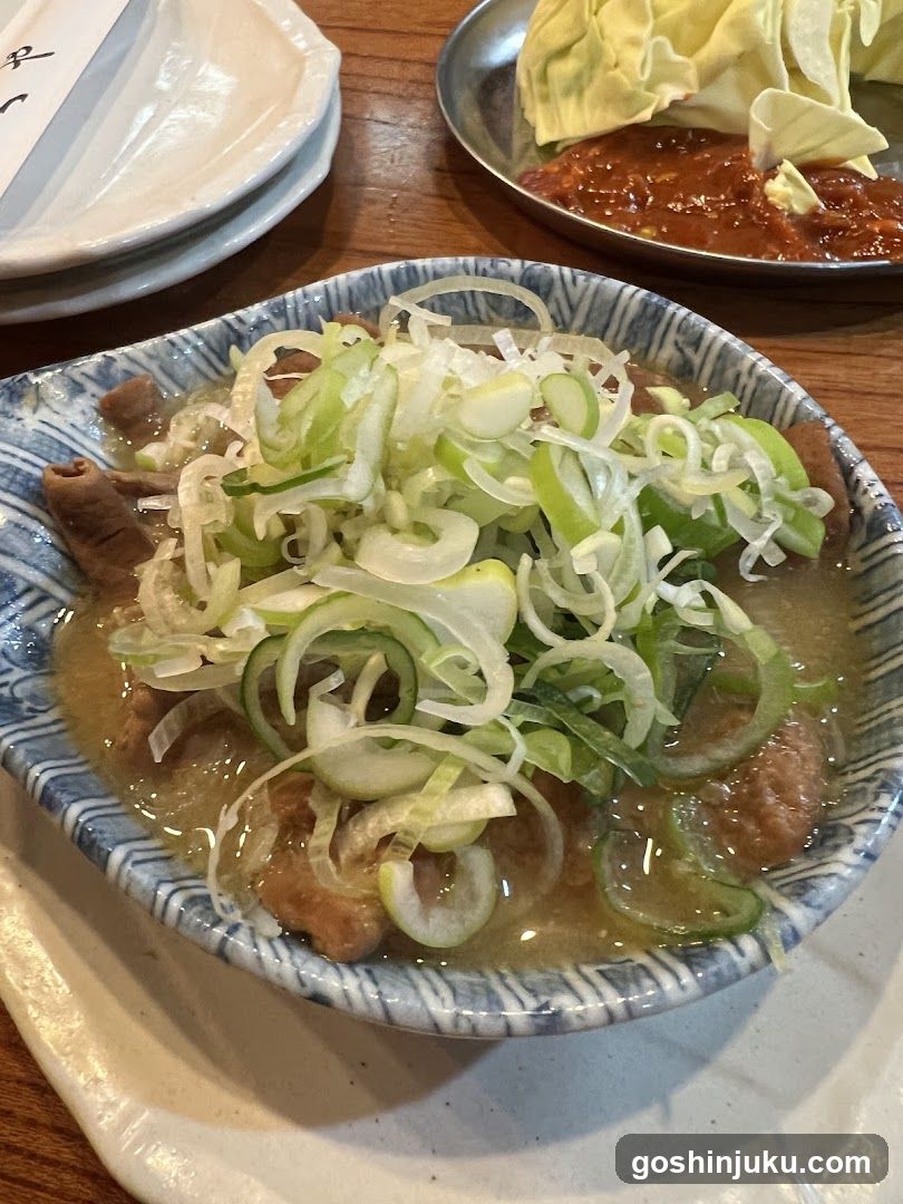 Bowl of Soup with Scallions