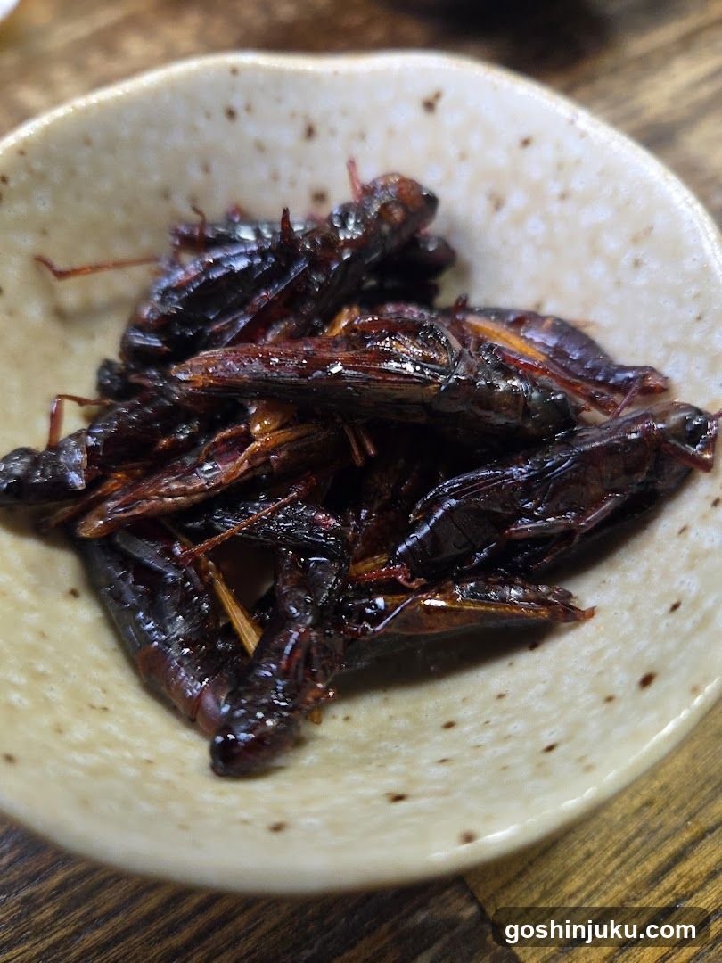 Fried Insects on a Plate