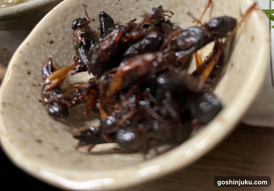 Bowl of Fried Insects