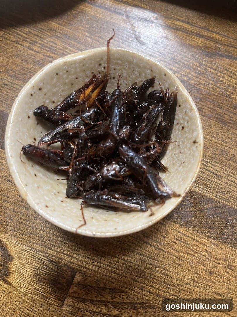 Bowl of Fried Crickets
