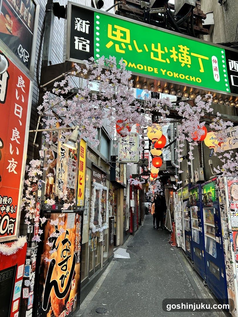 Omoide Yokocho Alleyway