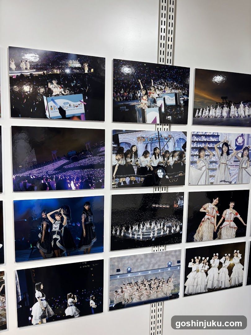 Concert Photo Display Wall