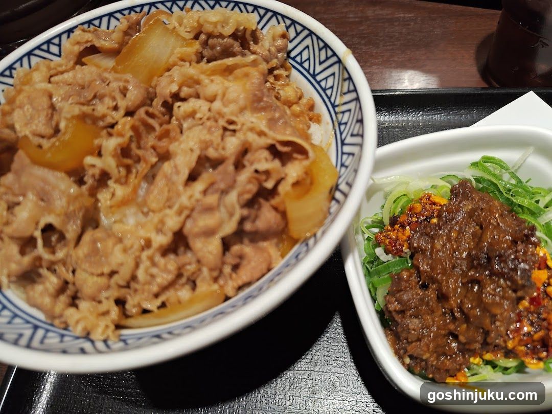 Japanese Meal with Beef and Salad