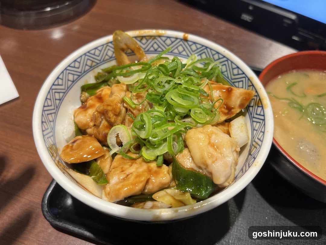 Japanese Chicken Bowl with Soup