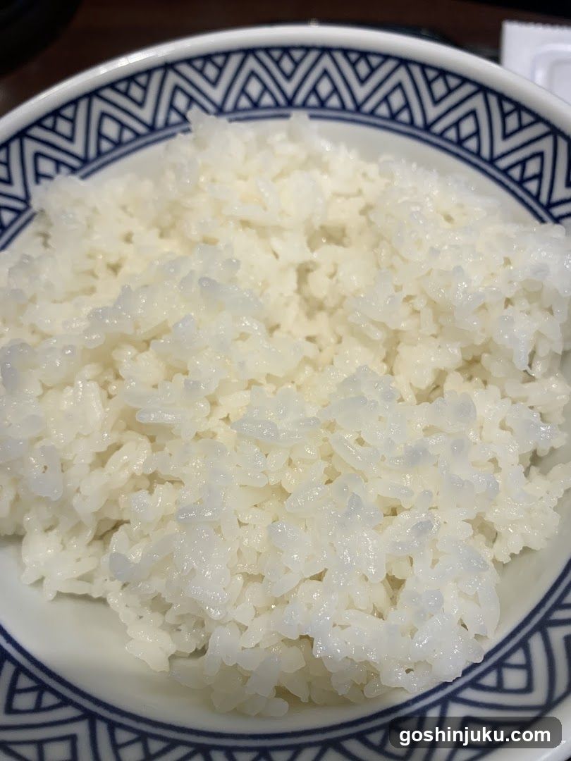 Bowl of White Rice