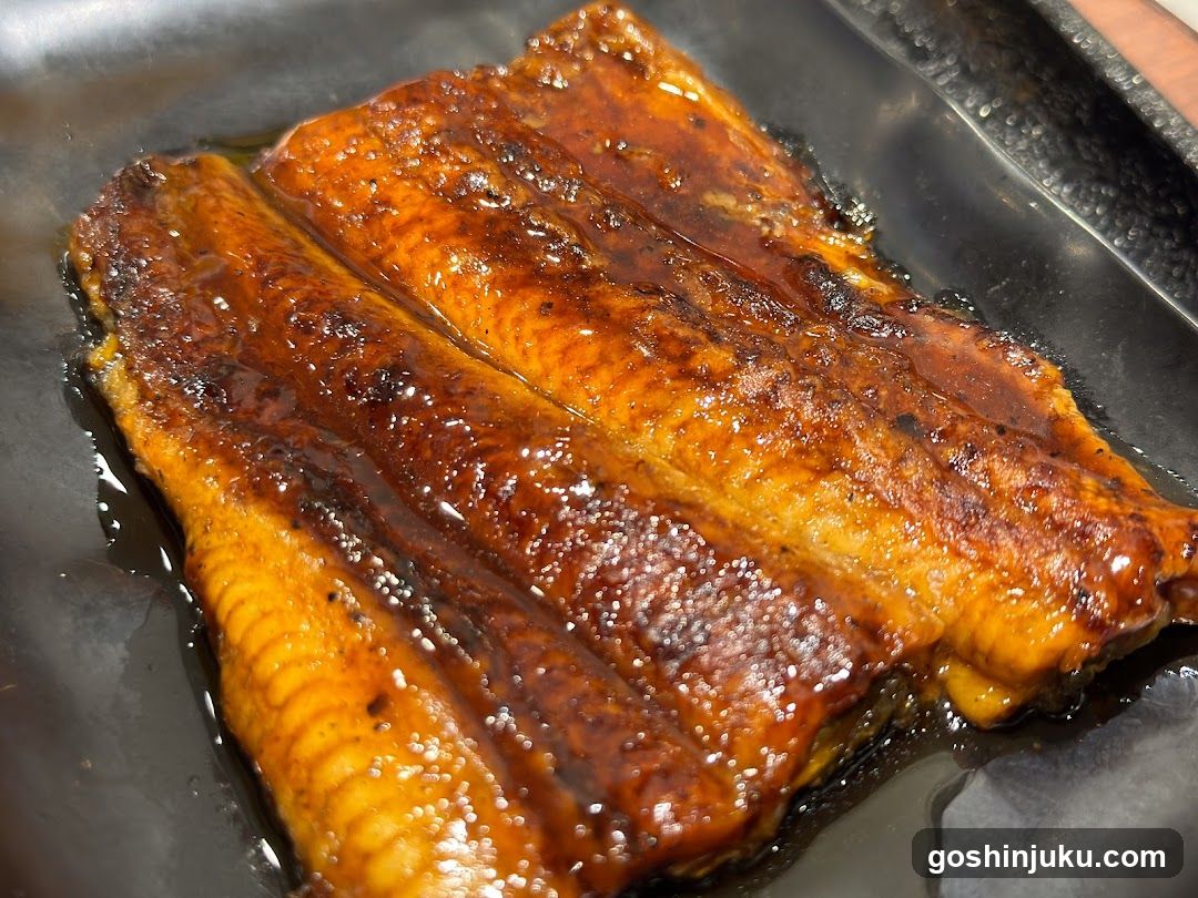 Grilled Eel (Unagi)