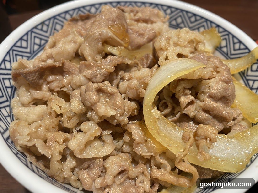 Bowl of Beef and Onion Rice