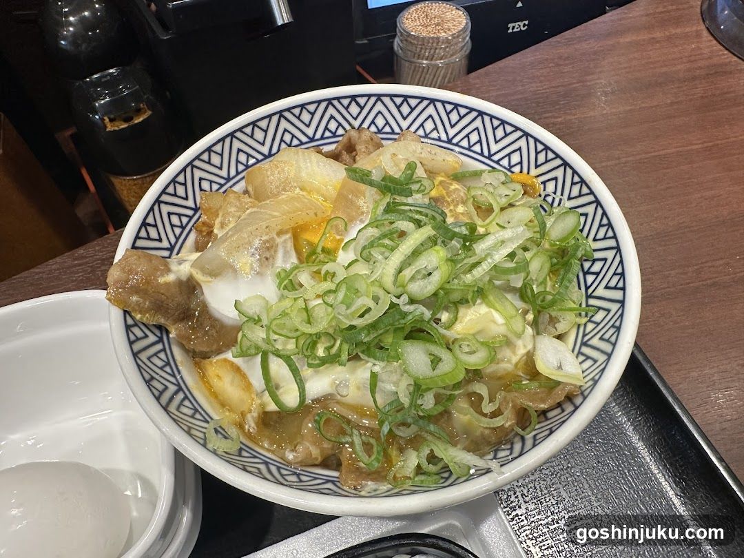 Japanese-style bowl with egg and green onions